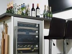Horeca wijnklimaatkasten