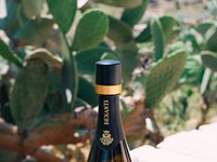 Champagne Twist Stopper