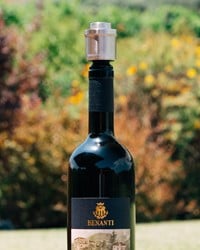 Schreuder&Waterman Vacuüm Wijnstoppers (2stk)